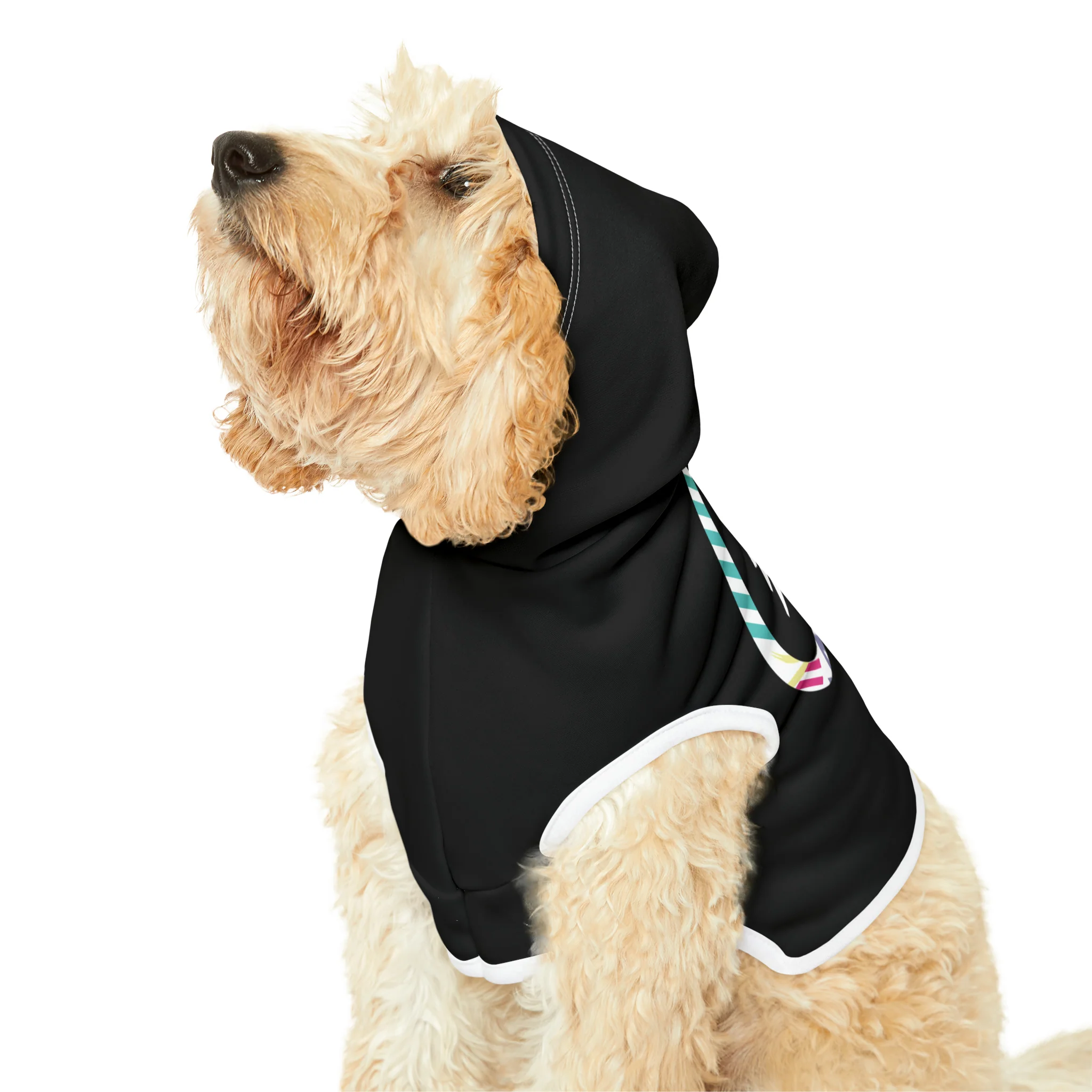 BFI Pet Hoodie - Image 4