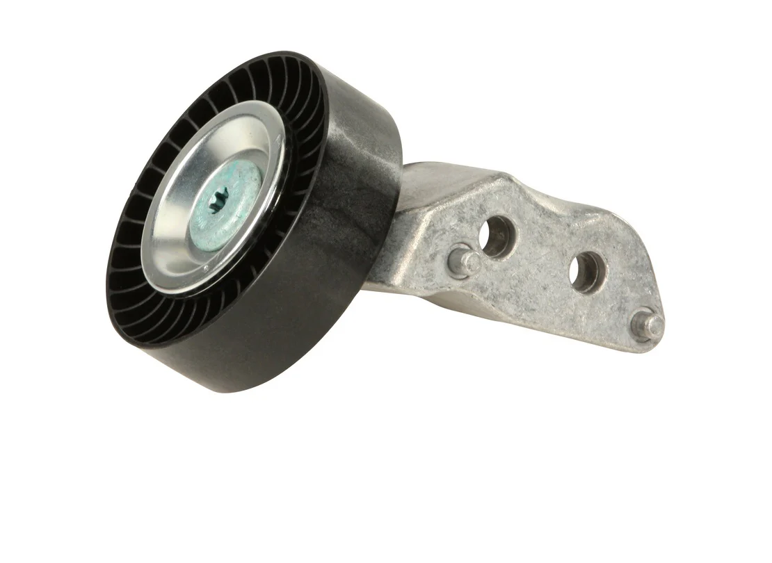 VW 07K 2.5l Belt Idler Assembly (Lower)